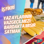 DENİZ DÜNYASINI ÇİFTLİĞE TAŞIMAK: BALIK ÜRETİM ÇİFTLİĞİ KURMAK