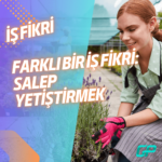 DENİZ DÜNYASINI ÇİFTLİĞE TAŞIMAK: BALIK ÜRETİM ÇİFTLİĞİ KURMAK