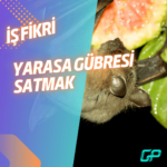 TUR REHBERLİĞİ YAPMAK