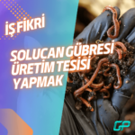 ANKETÖRLÜK YAPMAK