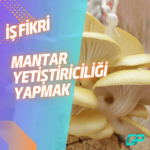 MEYVE SUYU BARI AÇMAK